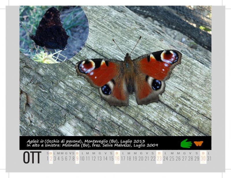 Calendarietto naturalistico