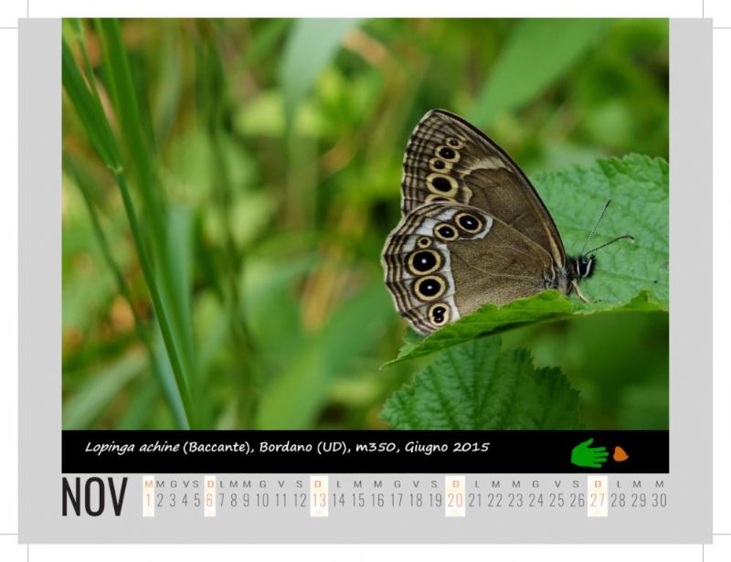 Calendarietto naturalistico