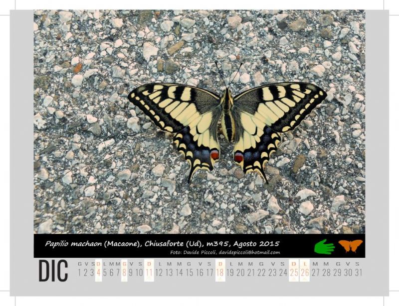 Calendarietto naturalistico