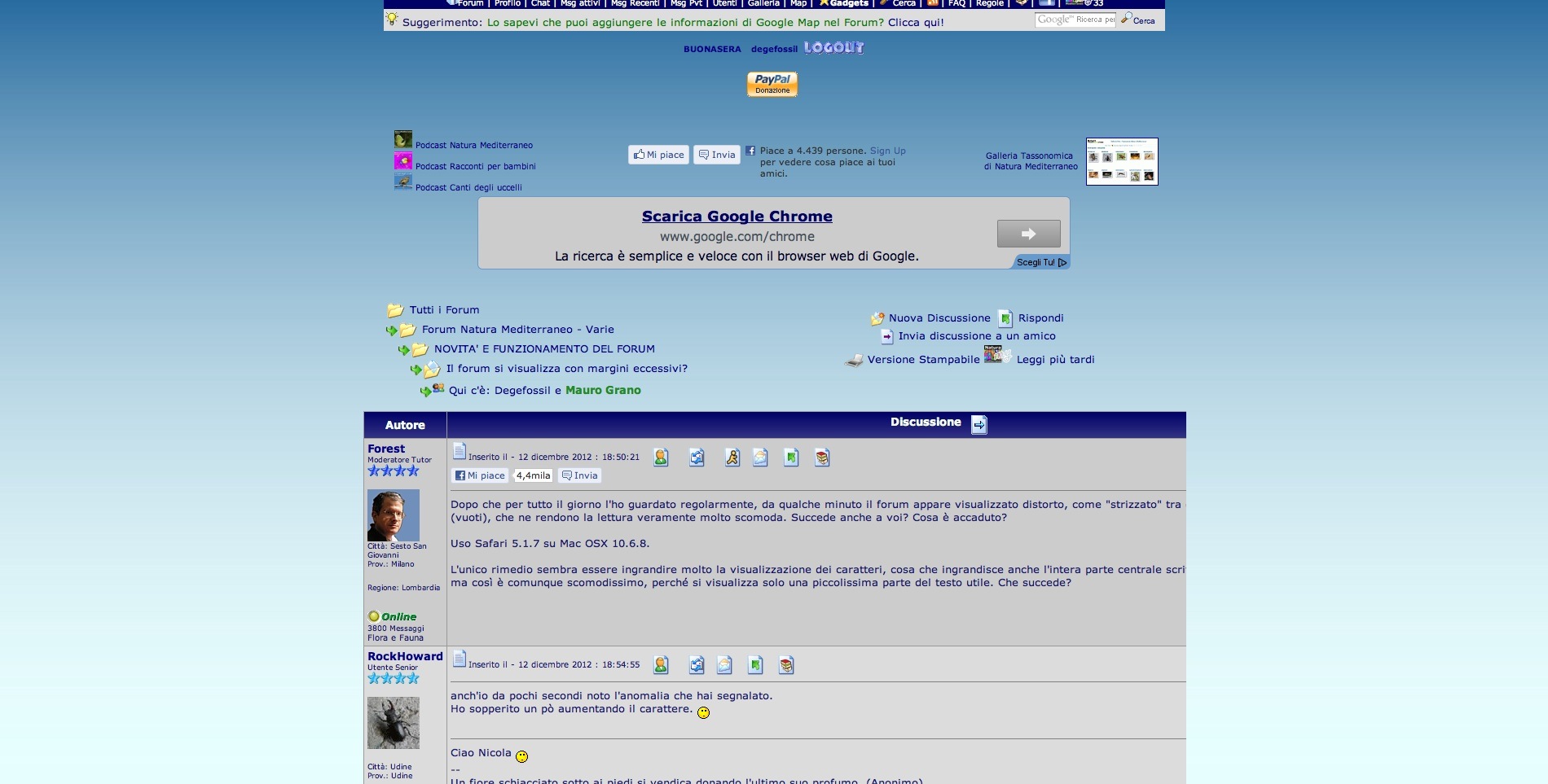 Il forum si visualizza con margini eccessivi?