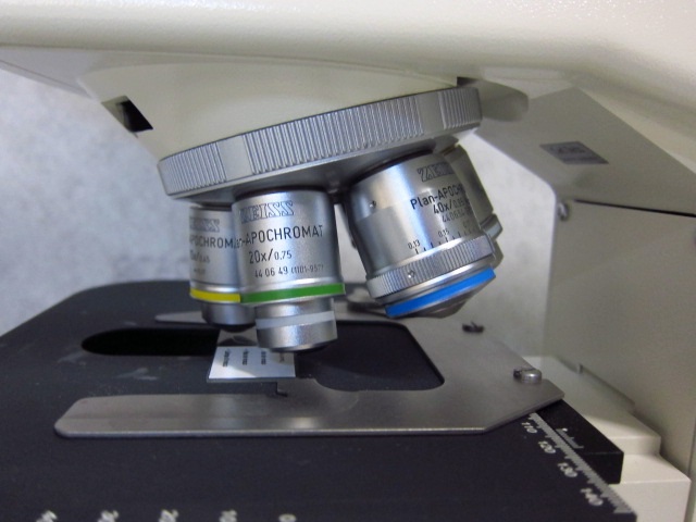 luce riflessa   vs   luce trasmessa