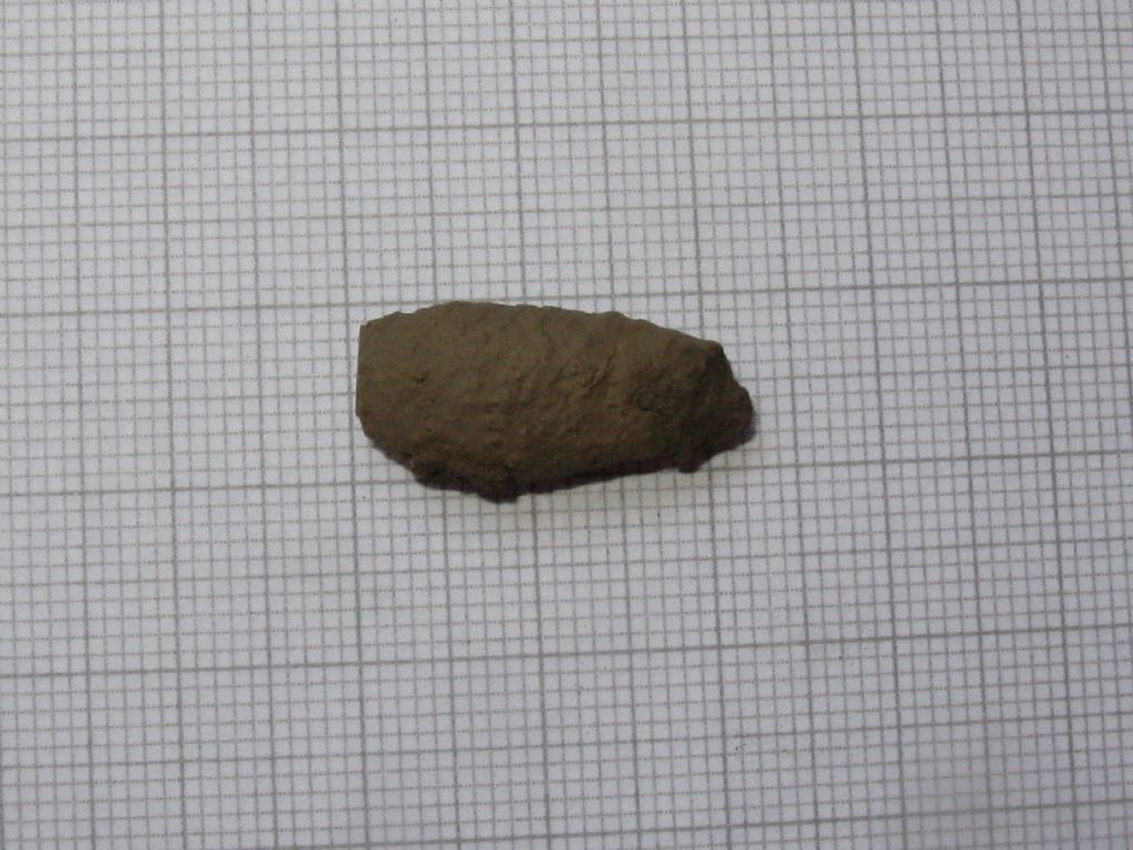 Ragni da identificare