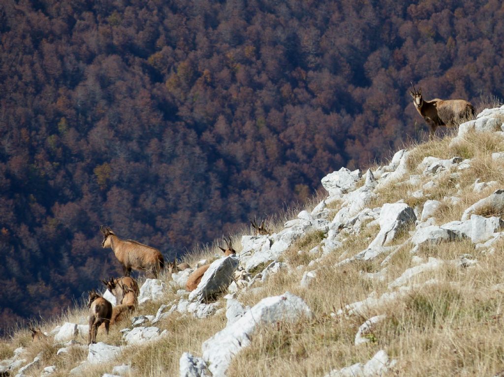 Punta Almana (1.390 m) per la variante alta del 