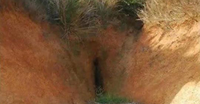 Frane poco sexy