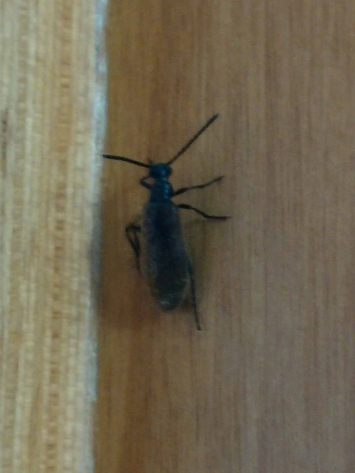 Il vero nome dei famosi 