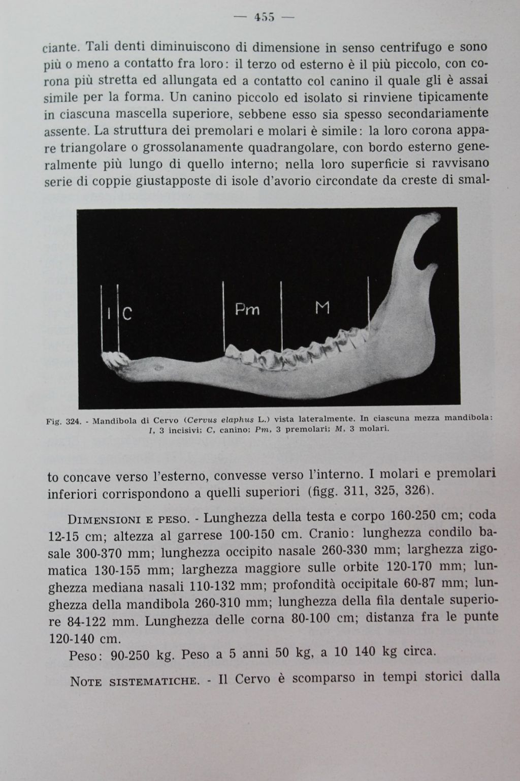 Distinguere crani di cervo e daino femmina.