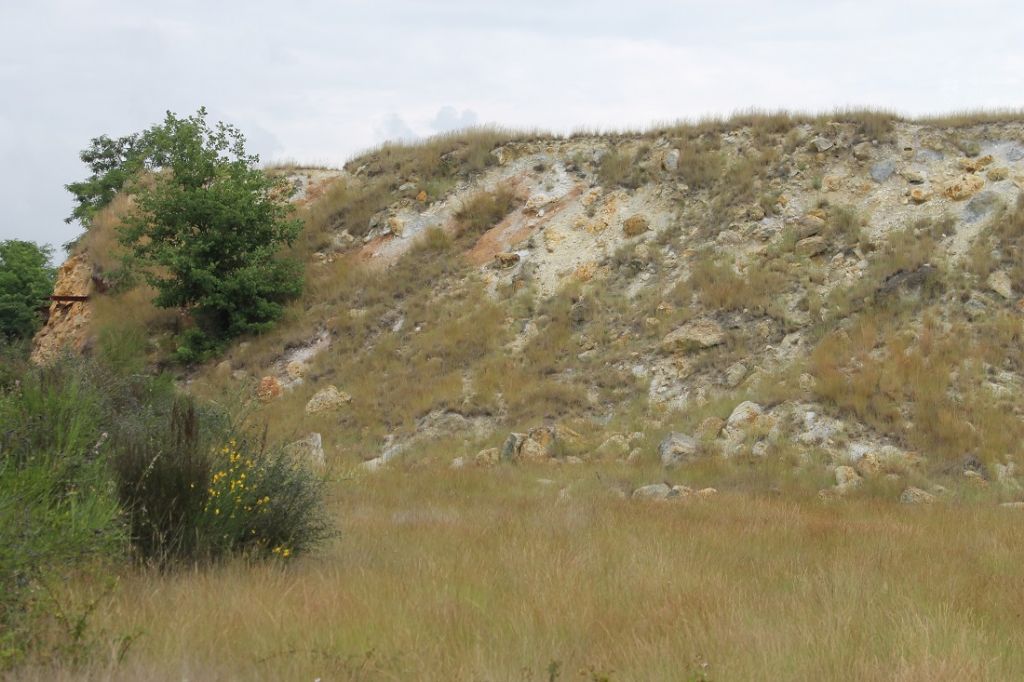 Ritrovamenti in Solfatara