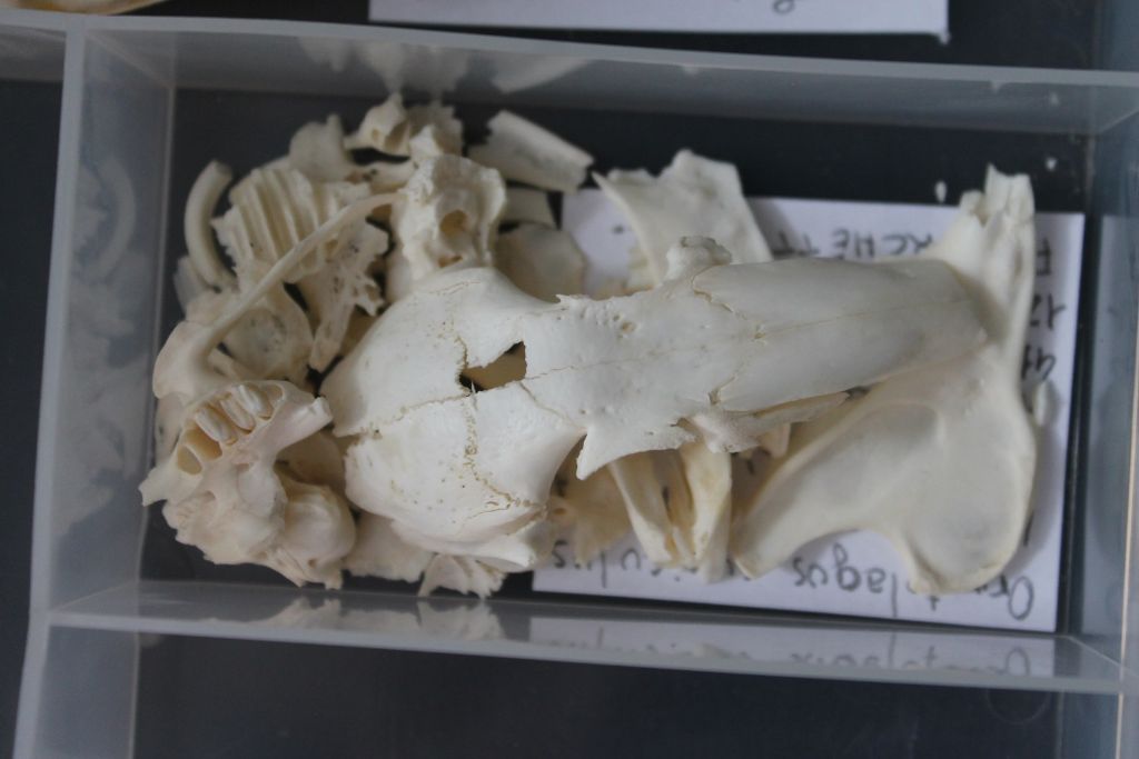 Nuovo weekend, nuovi ritrovamenti.