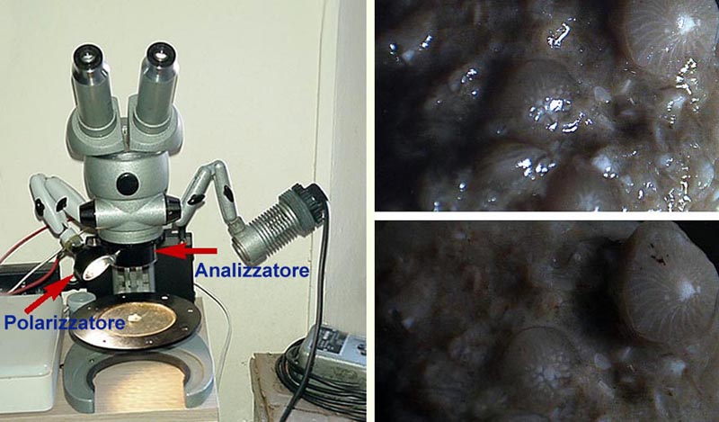 Esercitazioni in Helicon Focus