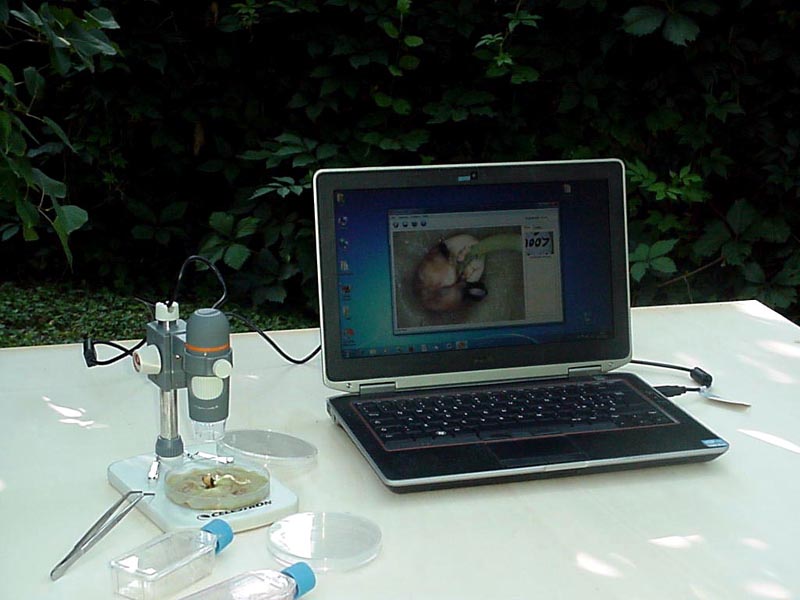 Microscopi a meno di 50 Euro ?