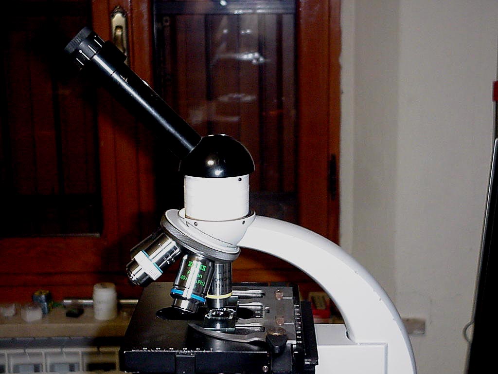 1 microscopio +  binocolo = infinito