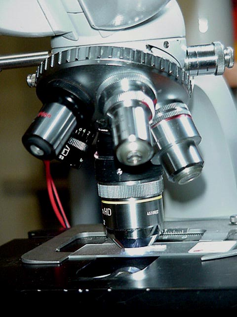 luce riflessa   vs   luce trasmessa