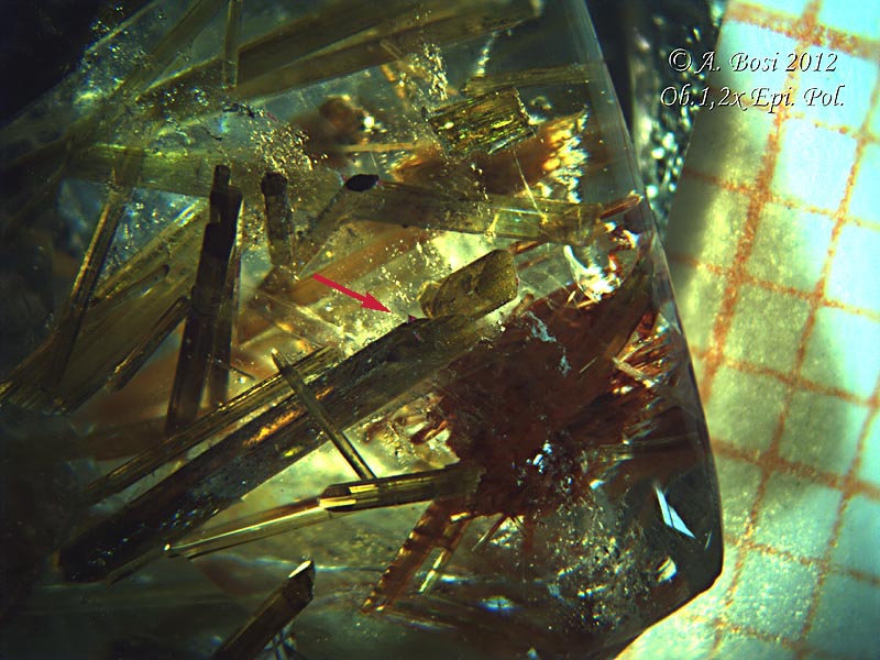 luce riflessa   vs   luce trasmessa