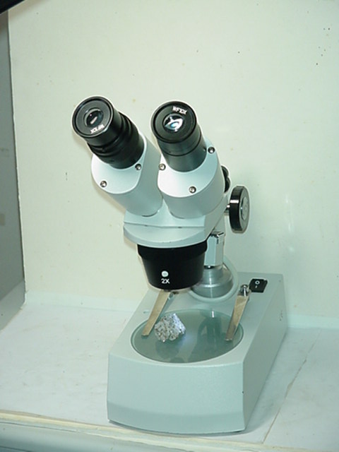 Qualcuno possiede questo stereomicroscopio?