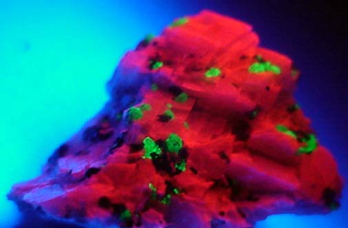 Qualcuno possiede questo stereomicroscopio?