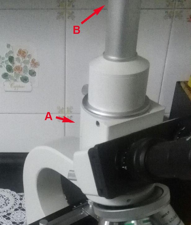 Microscopio Hund Wetzlar BX-300 Plan