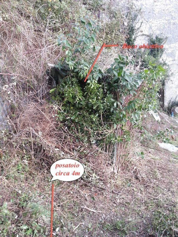 aiuto per identificazione