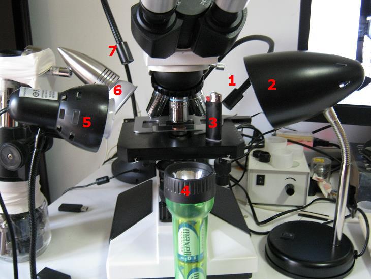 Esercitazioni in Helicon Focus