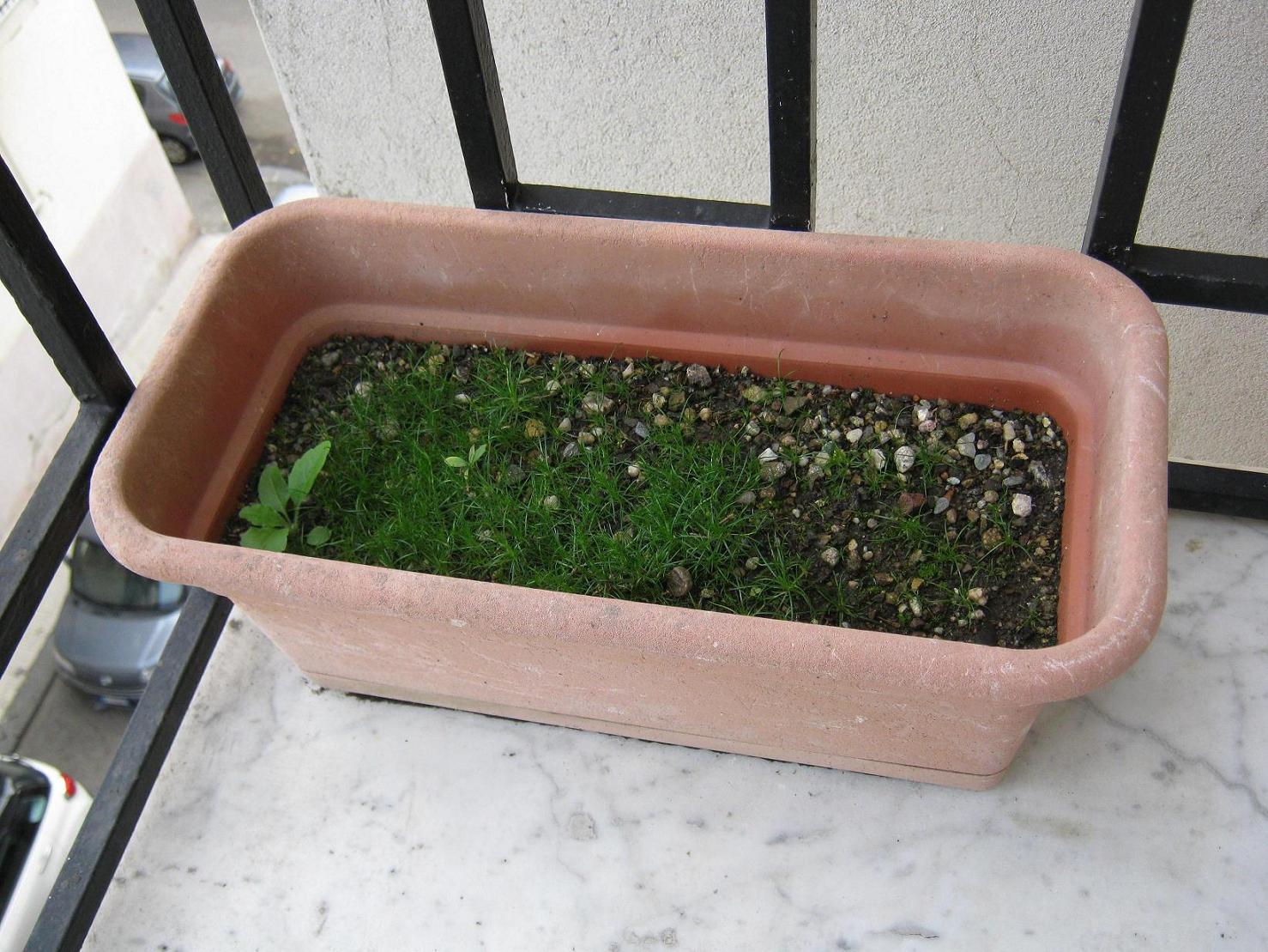 My new Micro''sSpaceLab