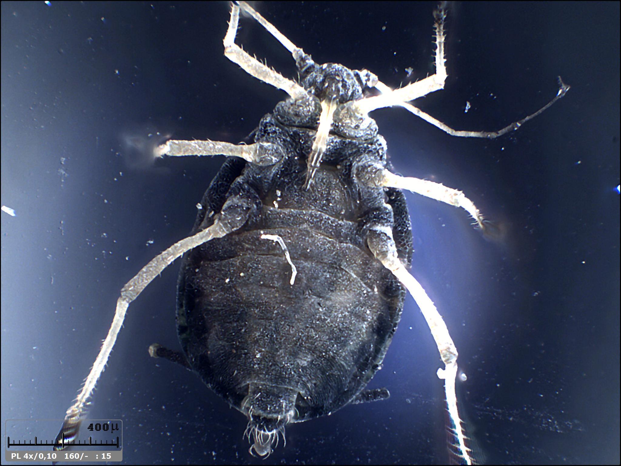 Esercitazioni in Helicon Focus