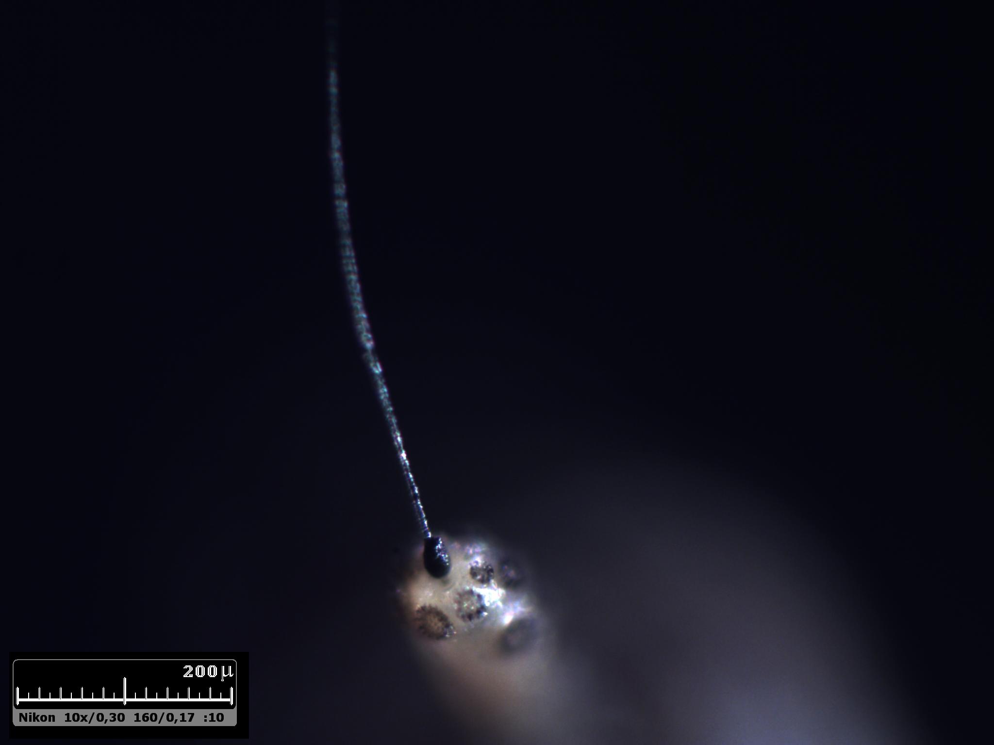 Esercitazioni in luce incidente