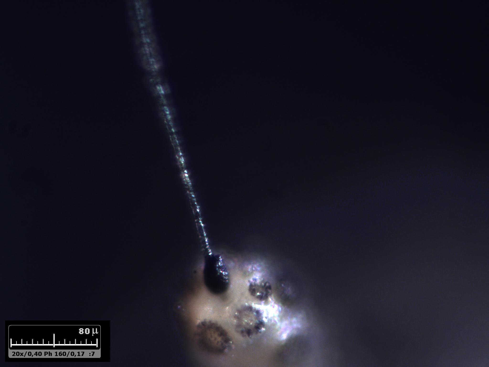 Esercitazioni in luce incidente