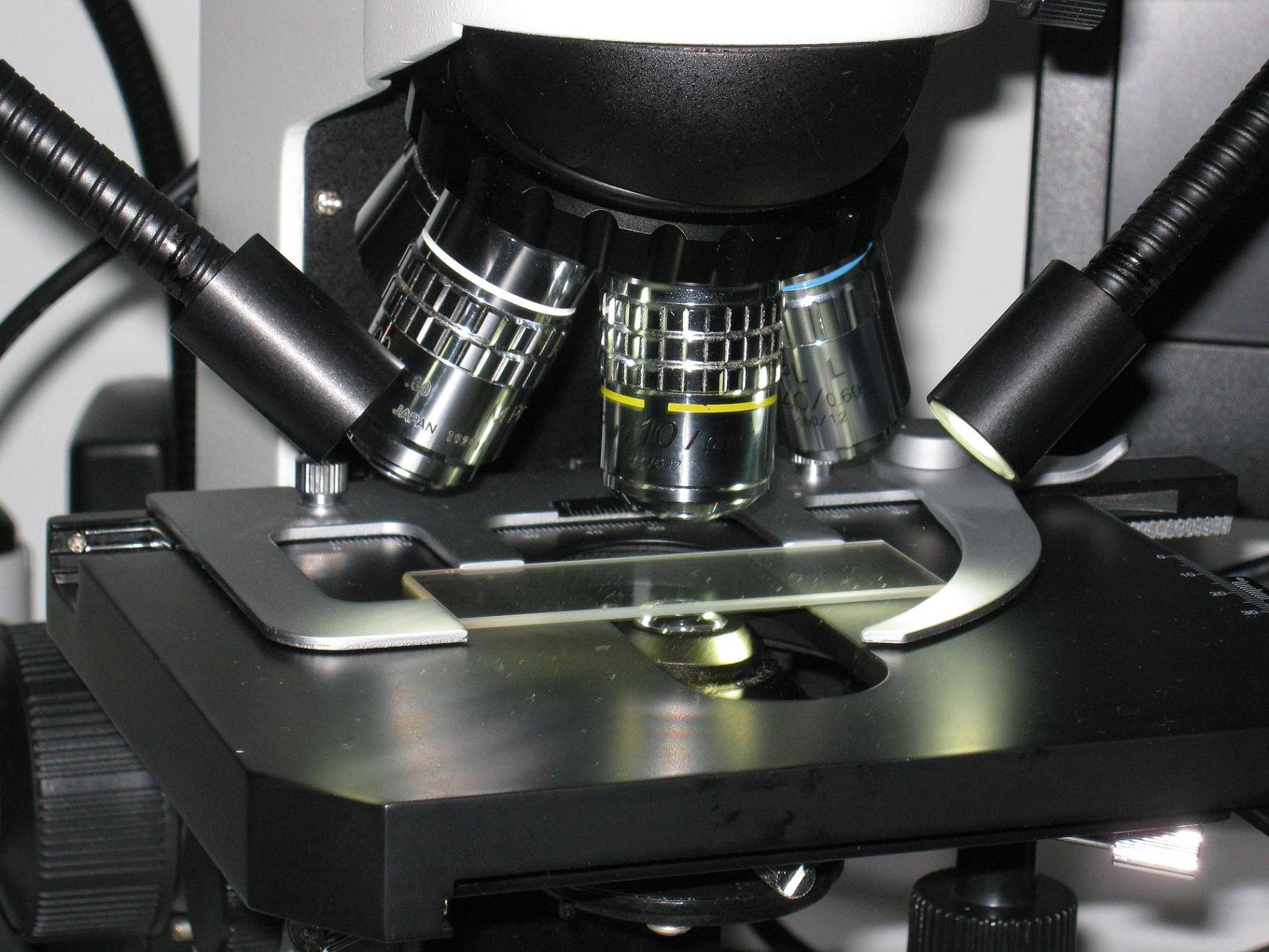 My new Micro''sSpaceLab