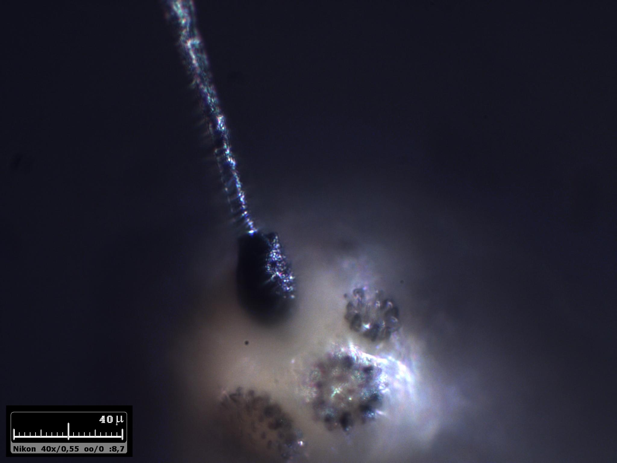 Esercitazioni in luce incidente