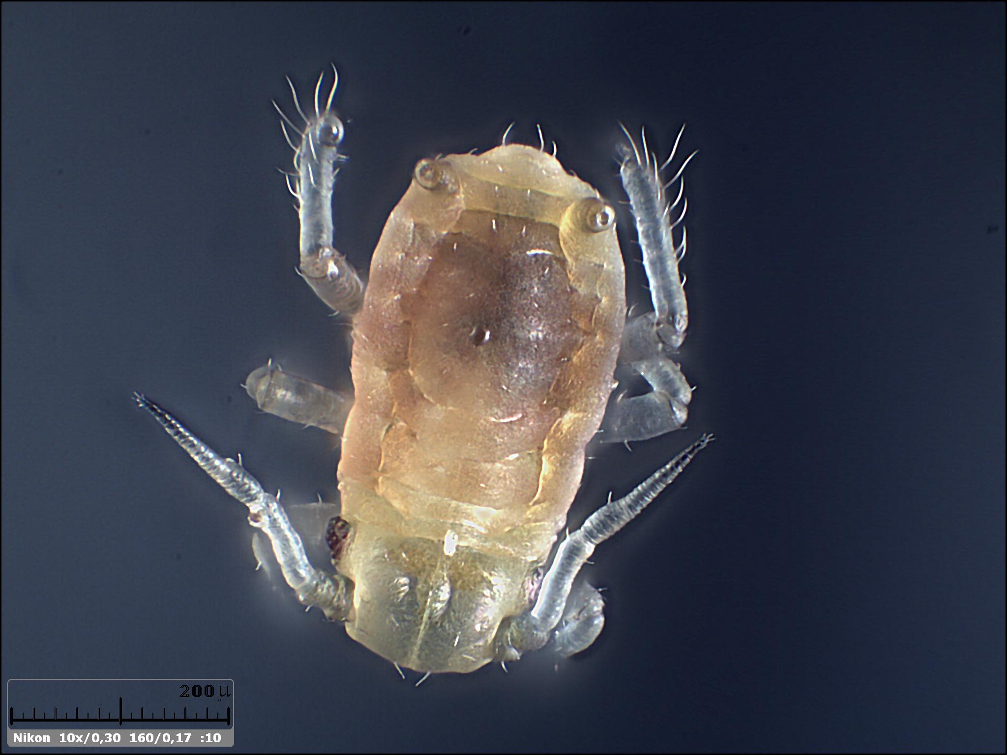 Esercitazioni in Helicon Focus