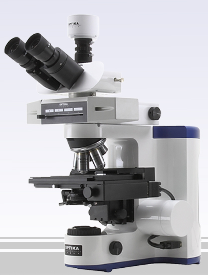 Il mio nuovo microscopio