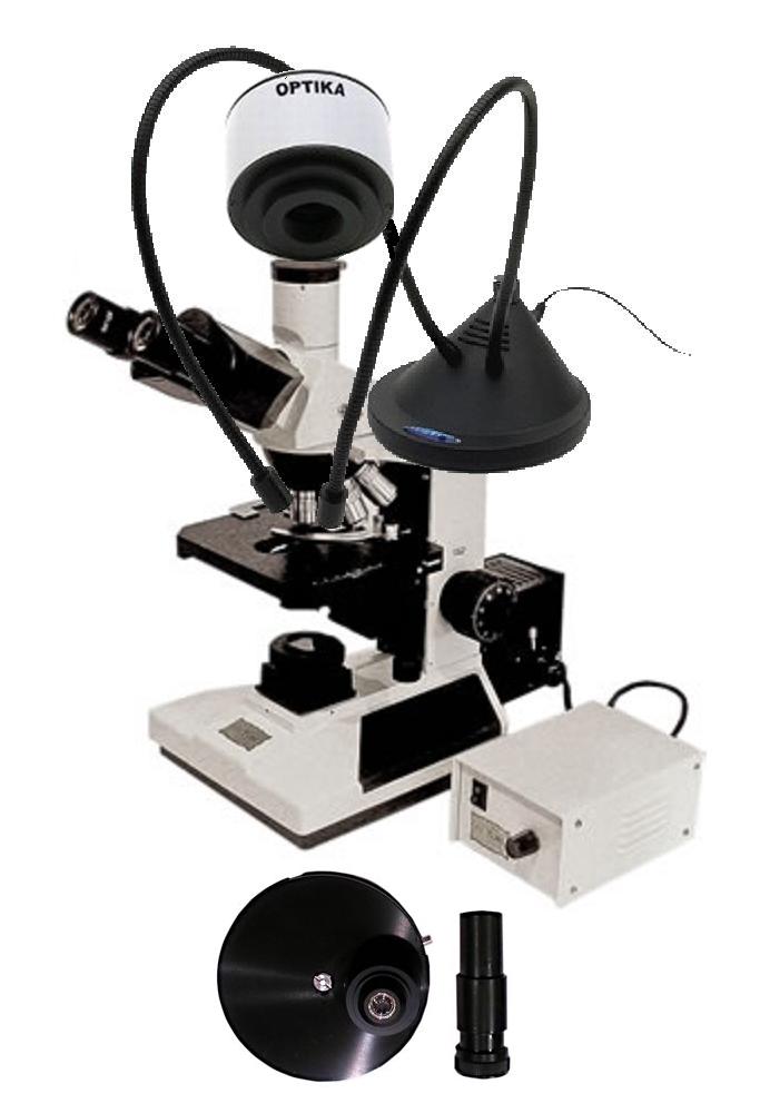 Vi dice niente questa foto?