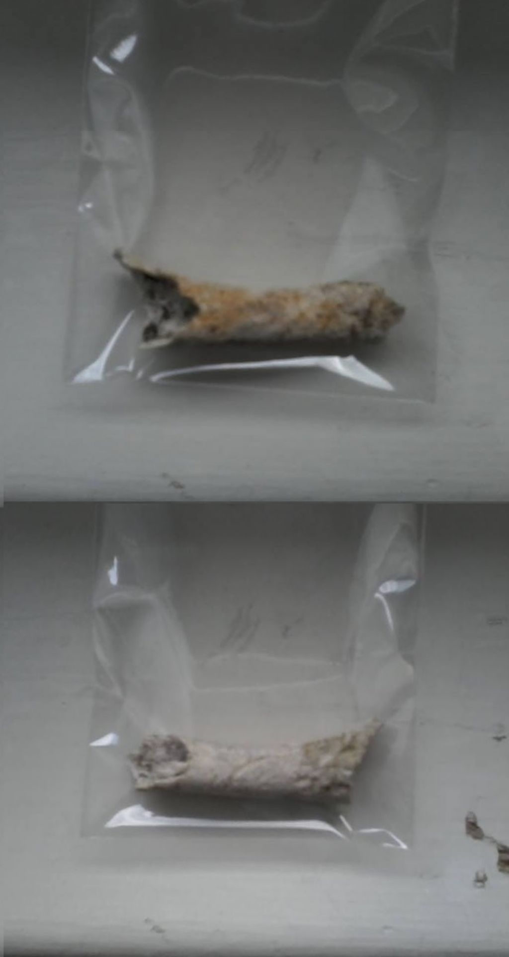 di cosa � questo osso ?