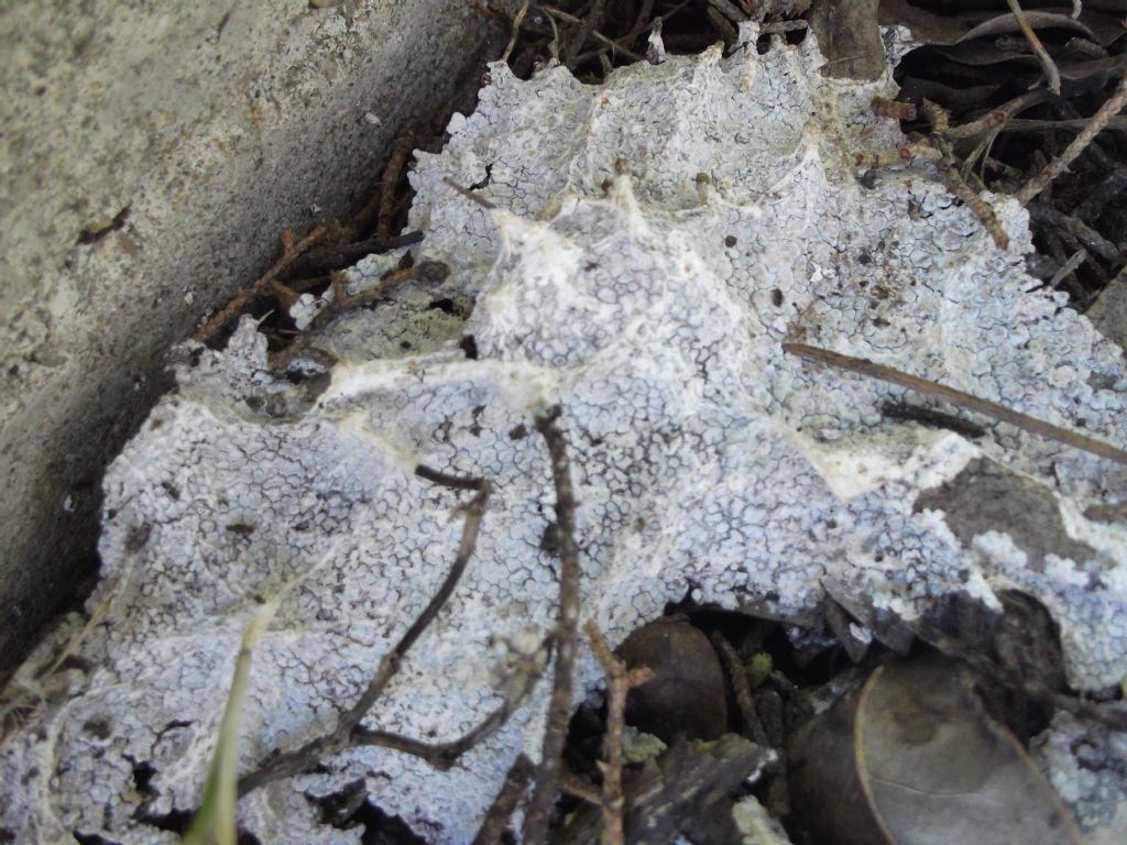 Dopo 53 giorni dal primo post