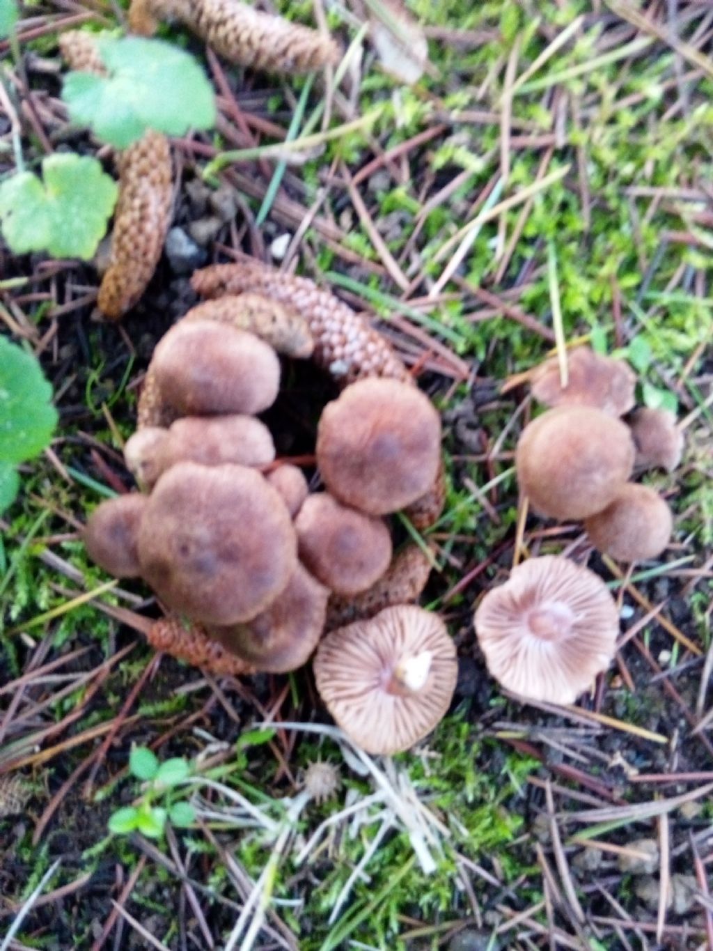 questo pomeriggio 1