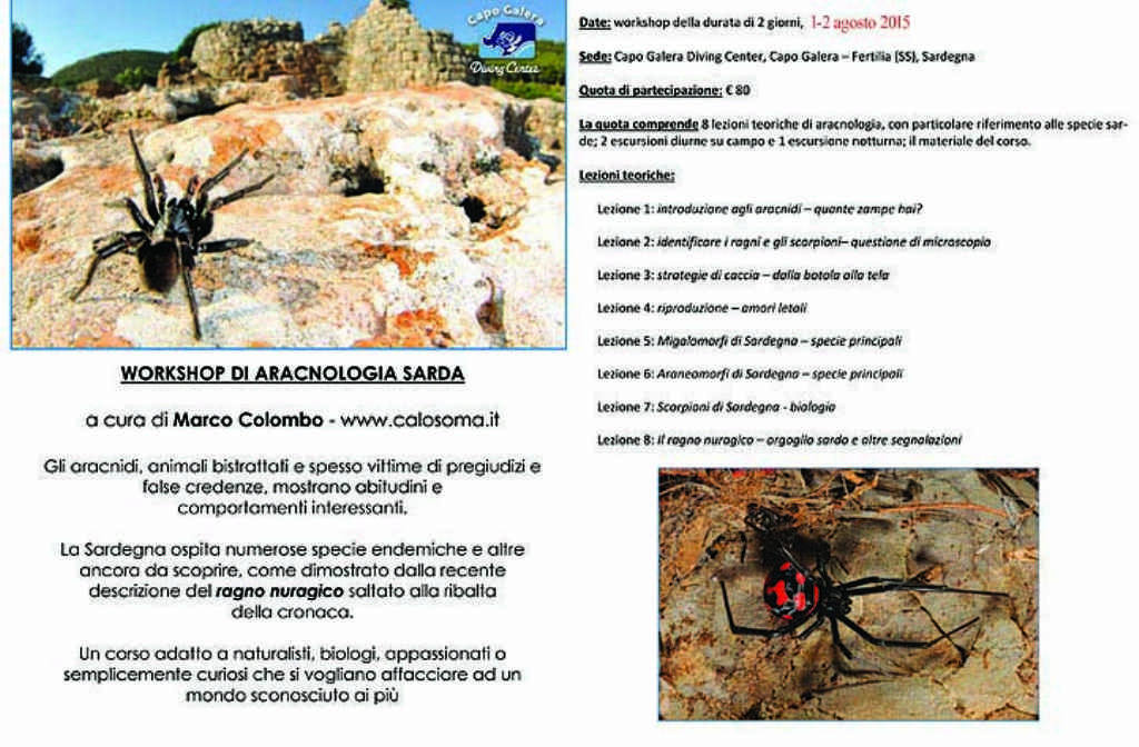 corso di aracnologia in Sardegna