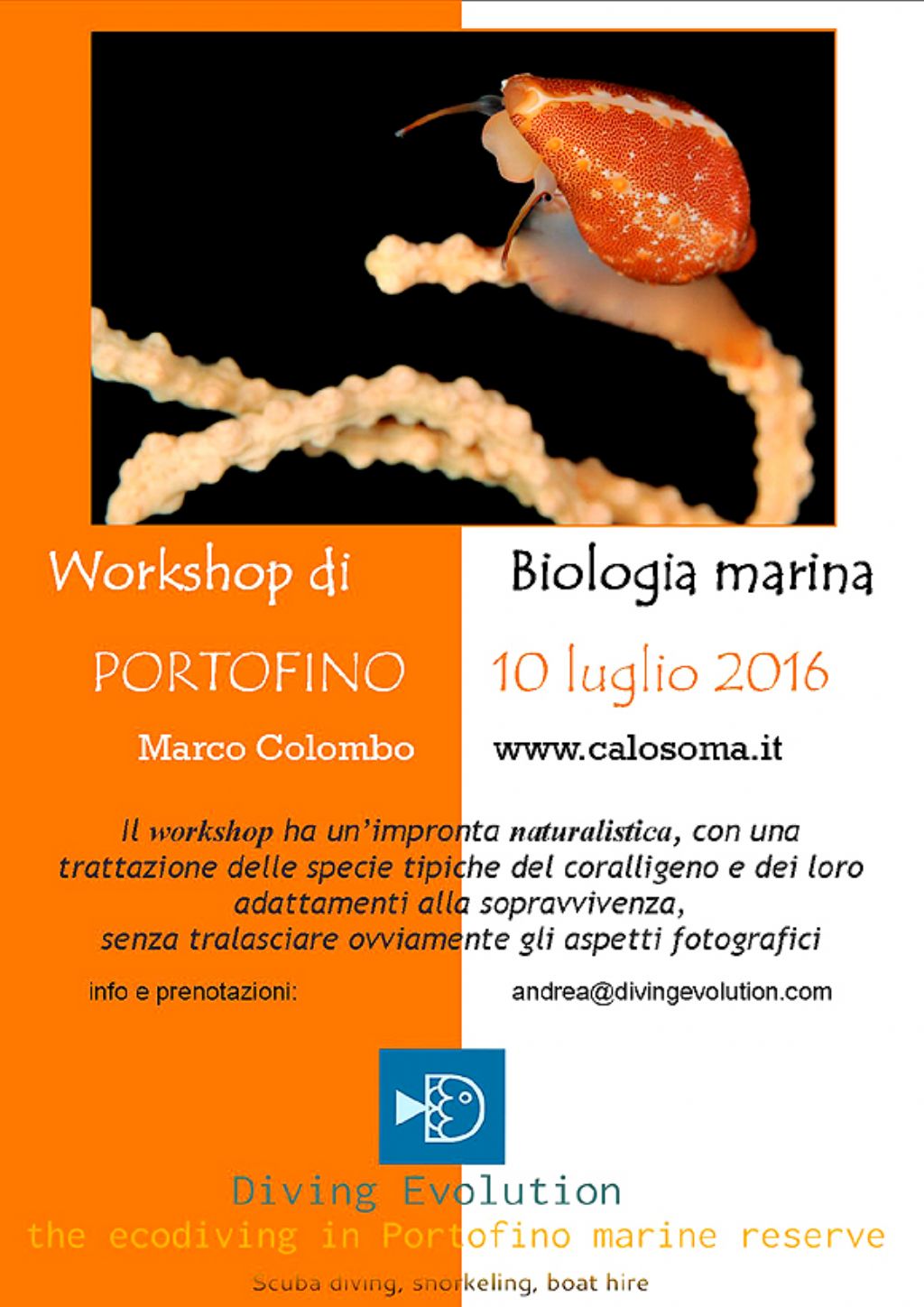 biologia marina e immersione