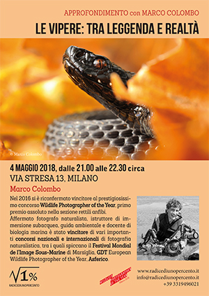 Conferenza: Le vipere tra leggenda e realt