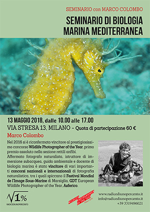 Corso di biologia marina mediterranea