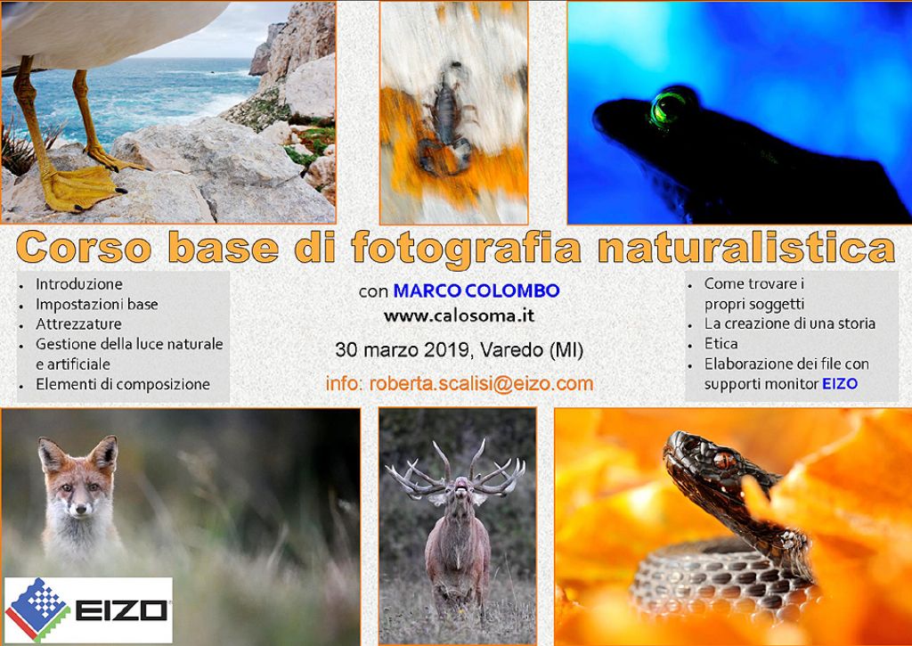 Corso base di fotografia naturalistica a Milano