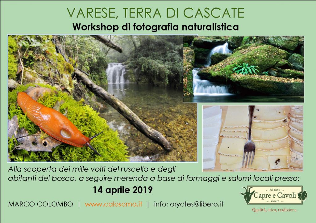 workshop di fotografia naturalistica con degustazione prodotti locali