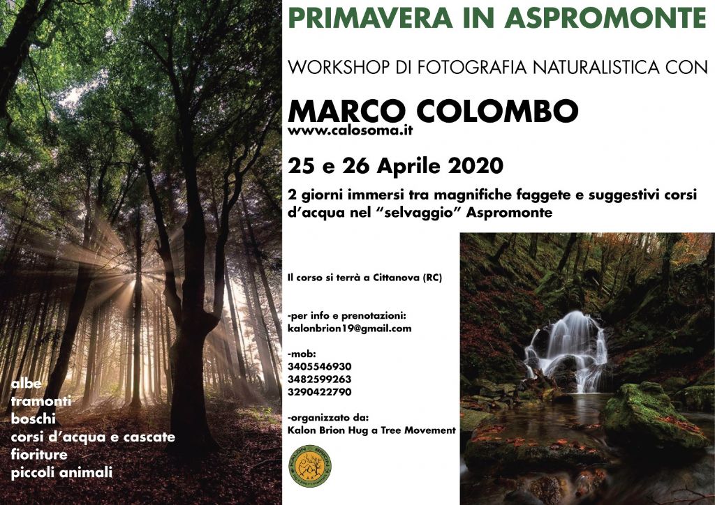 workshop di fotografia naturalistica in Aspromonte