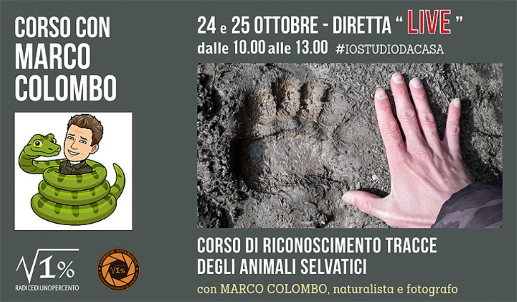 corso di identificazione tracce animali selvatici