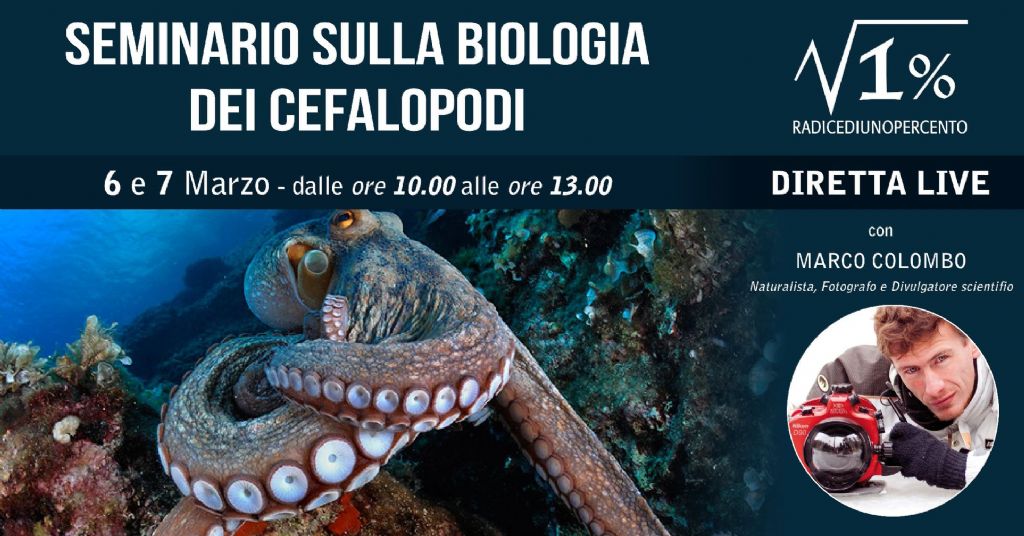 corso di biologia dei cefalopodi