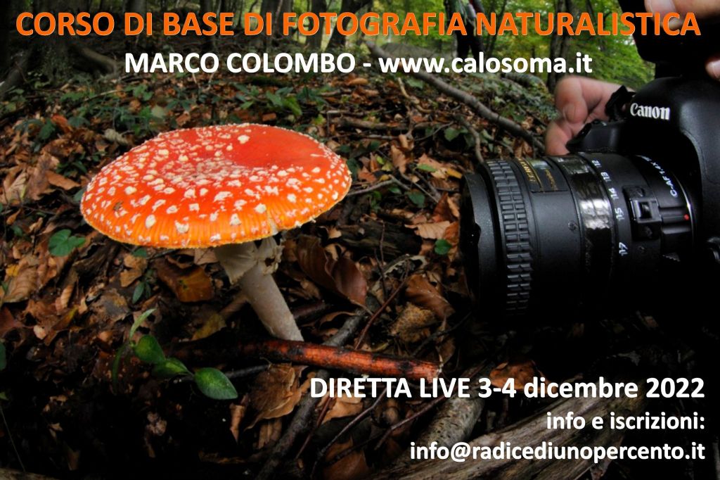 corso base di fotografia naturalistica