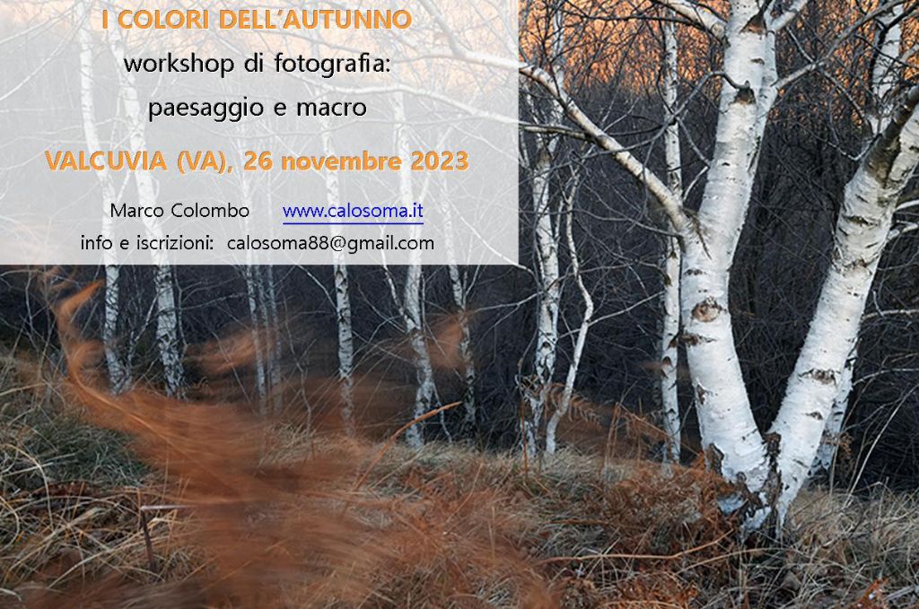 workshop di fotografia macro e paesaggio