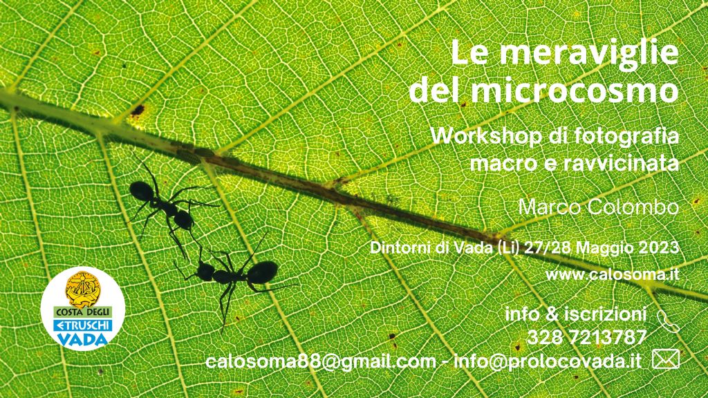 workshop di macrofotografia in Toscana