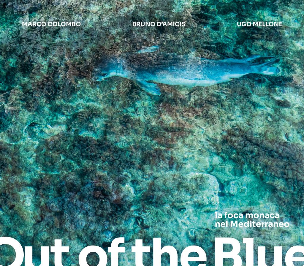 La foca monaca nel Mediterraneo