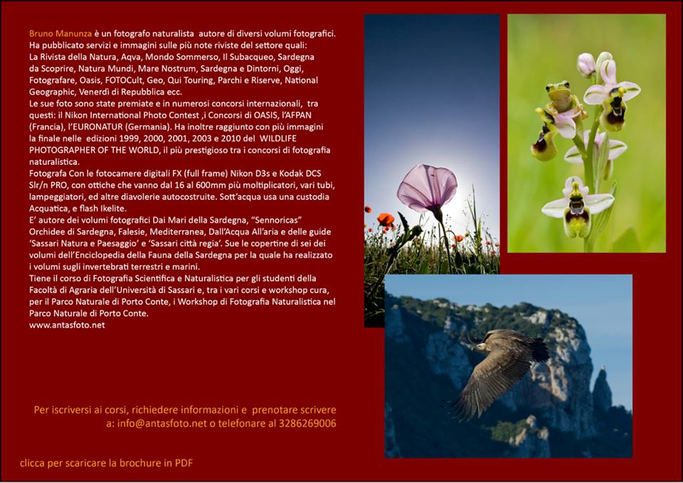 workshop fotografia naturalistica