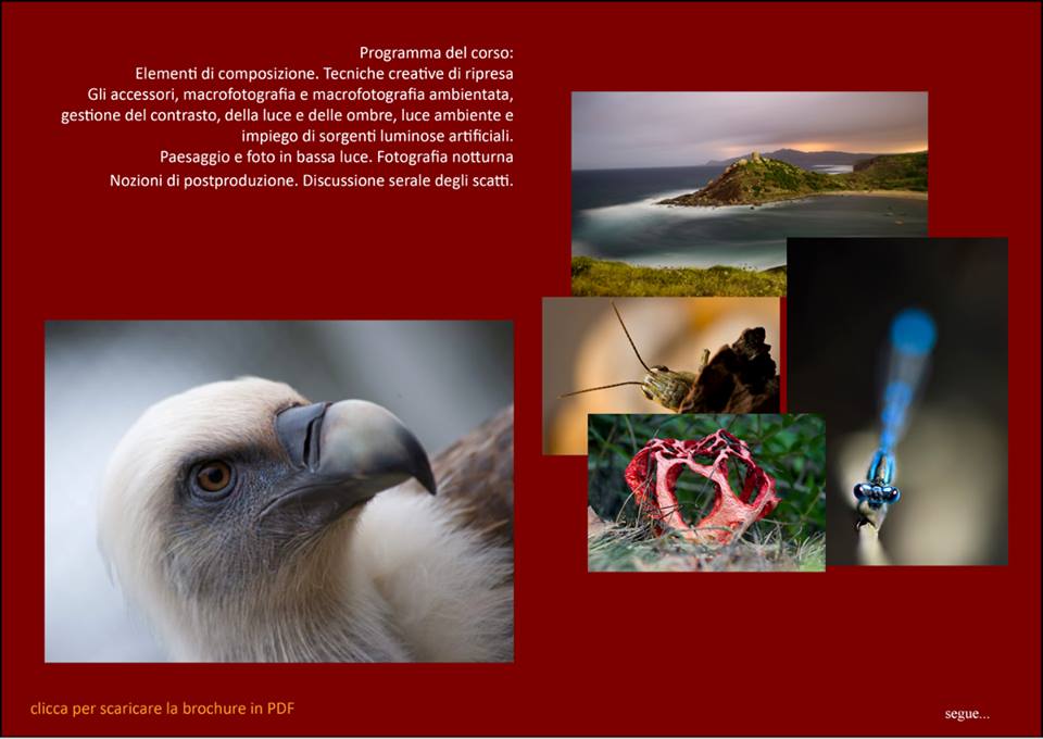 workshop fotografia naturalistica