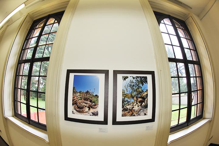 mostra fotografica 